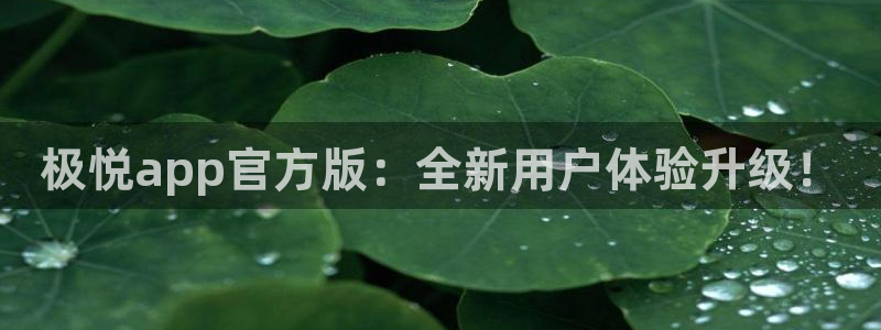 摩登7集团总部