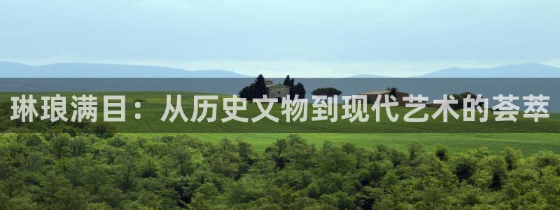 摩登75招商：琳琅满目：从历史文物到现代艺术的荟萃