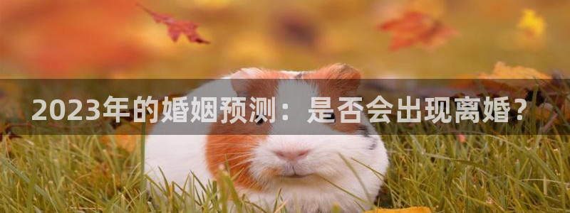 摩登7登录网：2023年的婚姻预测：是否会出现离婚？