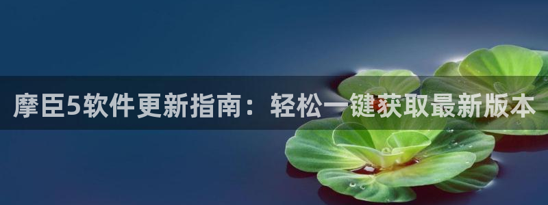 摩登7ccmpc：摩臣5软件更新指南：轻松一键获取最新版本