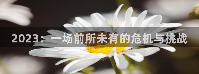 摩登7平台主管：2023：一场前所未有的危机与挑战