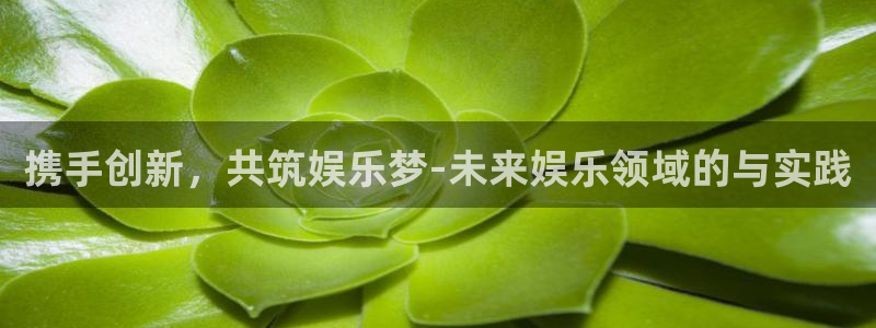 摩登72平台：携手创新，共筑娱乐梦-未来娱乐领域的与实践