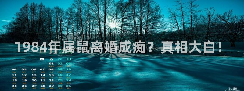 摩登73平台登录注册：1984年属鼠离婚成痴？真相大白！