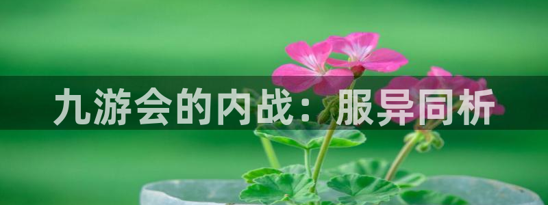 摩登7预测pc在线预测网址：九游会的内战：服异同析
