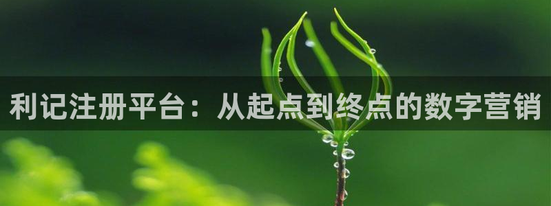 摩登7体育和杏耀是哪个公司的：利记注册平台：从起点到终点的数字营销