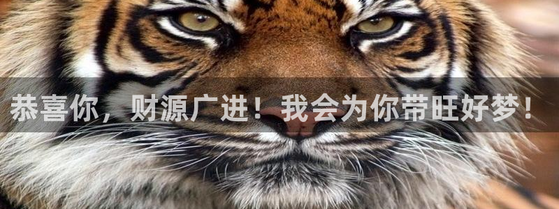 摩登74开户：恭喜你，财源广进！我会为你带旺好梦！