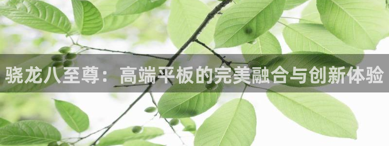摩登7注册登录入口：骁龙八至尊：高端平板的完美融合与创新体验