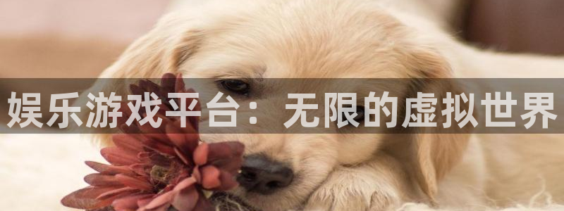 摩登7是什么：娱乐游戏平台：无限的虚拟世界