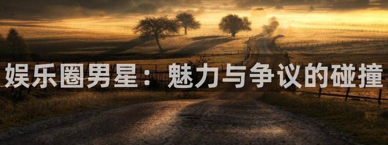 摩登7麻将胡了：娱乐圈男星：魅力与争议的碰撞
