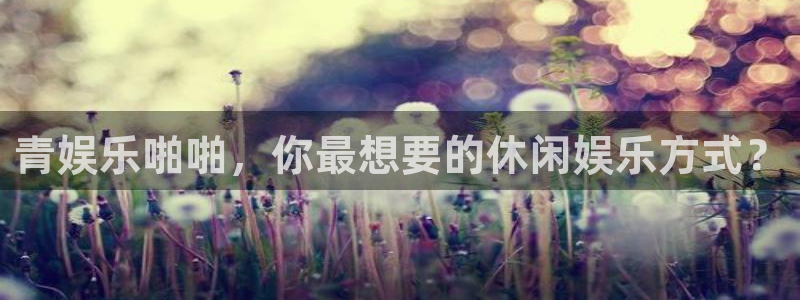 摩登74平台