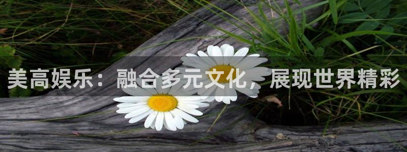 摩登74代理：美高娱乐：融合多元文化，展现世界精彩