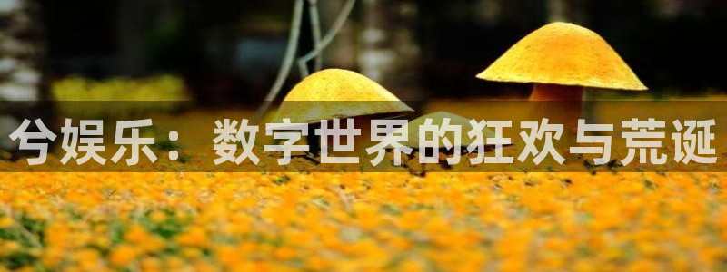 摩登7官网：兮娱乐：数字世界的狂欢与荒诞