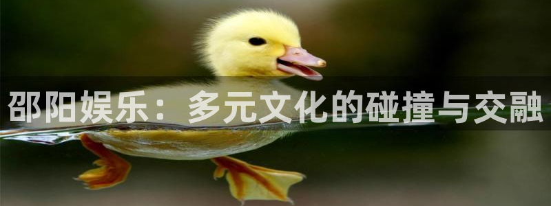 摩登7平台总代理：邵阳娱乐：多元文化的碰撞与交融