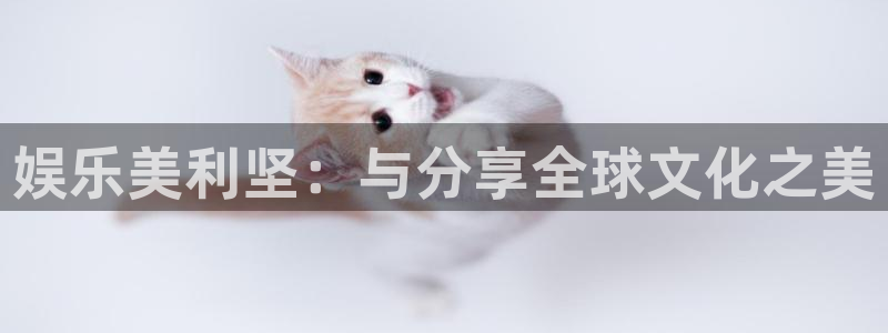 摩登7平台