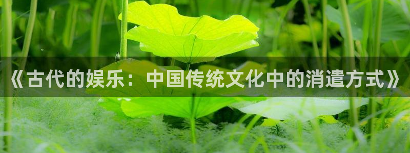 摩登7注册网站链接：《古代的娱乐：中国传统文化中的消遣方式》