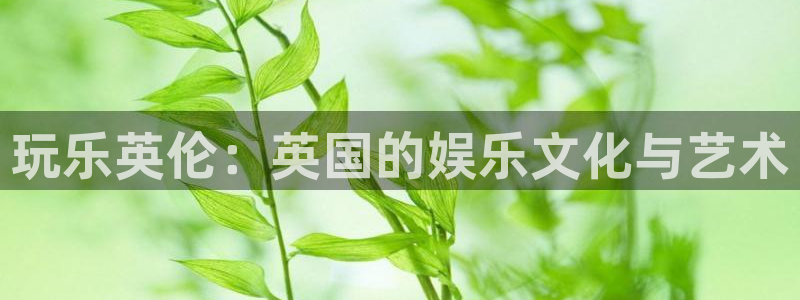 东莞市摩登7电子科技有限公司：玩乐英伦：英国的娱乐文化与艺术