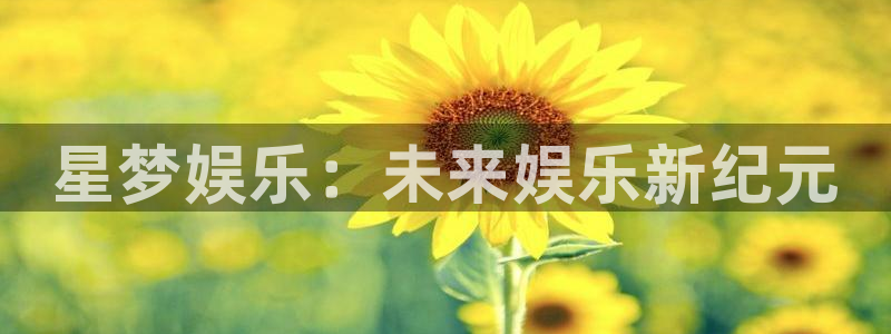 摩登7手机版下载：星梦娱乐：未来娱乐新纪元