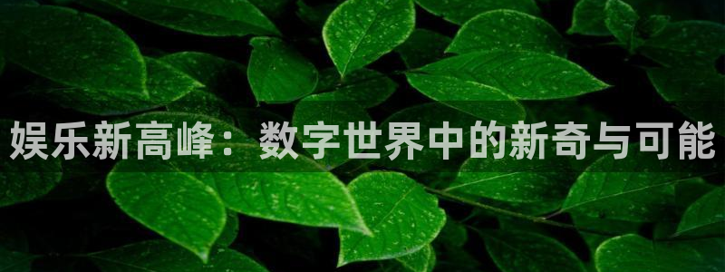 德国摩登7集团：娱乐新高峰：数字世界中的新奇与可能