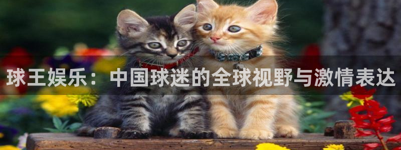 摩登7官网：球王娱乐：中国球迷的全球视野与激情表达