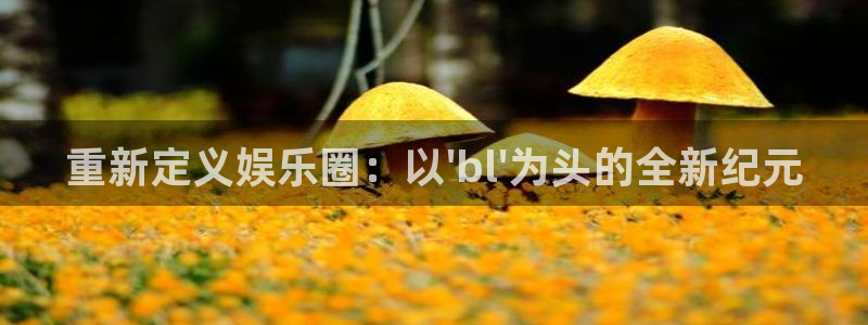 pg摩登7平台下载入口