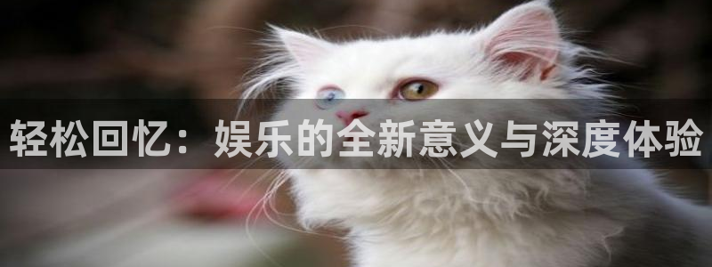 摩登7kgame：轻松回忆：娱乐的全新意义与深度体验