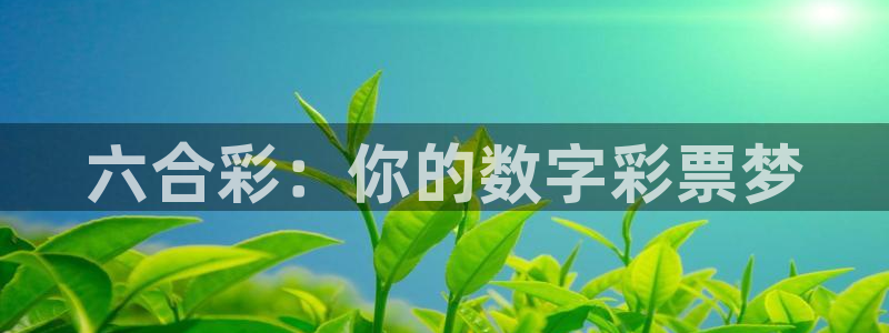 摩登7赏金女王：六合彩：你的数字彩票梦