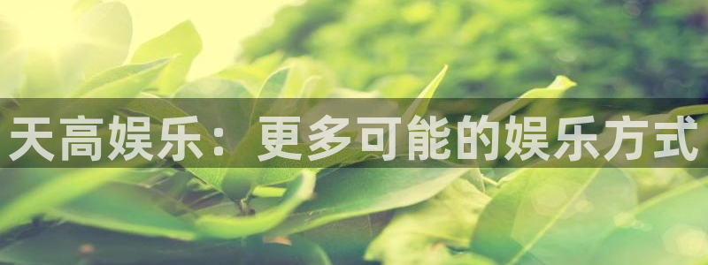 摩登7体育论坛：天高娱乐：更多可能的娱乐方式