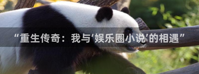 摩登73注册：“重生传奇：我与‘娱乐圈小说’的相遇”