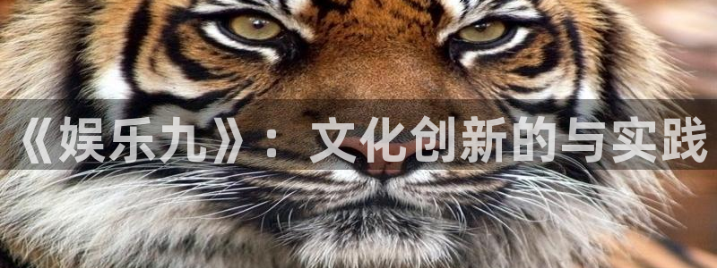 摩登7：《娱乐九》：文化创新的与实践