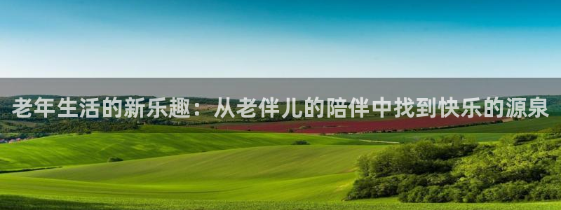 摩登7体育3：老年生活的新乐趣：从老伴儿的陪伴中找到快乐的源泉