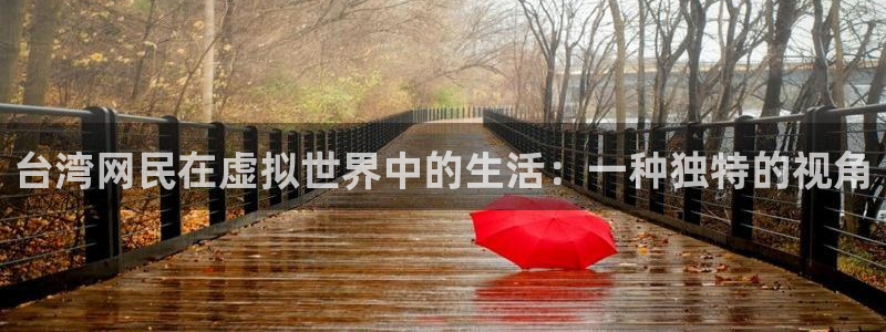 摩登7是正规平台吗：台湾网民在虚拟世界中的生活：一种独特的视角