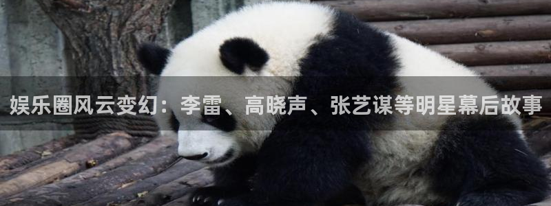 摩登7是什么平台：娱乐圈风云变幻：李雷、高晓声、张艺谋等明星幕后故事