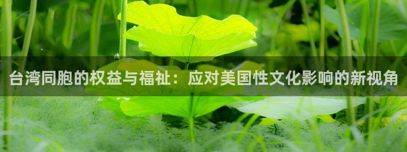 摩登74开户：台湾同胞的权益与福祉：应对美国性文化影响的新视角