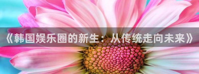 摩登7登录：《韩国娱乐圈的新生：从传统走向未来》